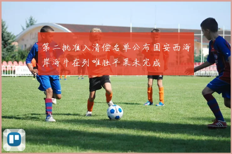 第二批准入清偿名单公布国安西海岸海牛在列唯独平果未完成